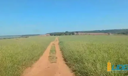 Excelente Fazenda dupla aptidão com 411,40 hectares à venda próxima a Uberlândia/MG