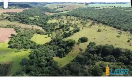 Excelente fazenda dupla aptidão com 125 hectares à venda no município de Araguari - MG