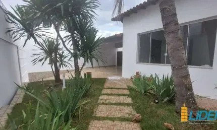 Casa com 5 quartos para alugar na Rua Lirios Azuis, Cidade Jardim, Uberlândia