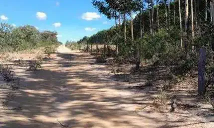 Excelente fazenda dupla aptidão com 20.000 hectares à venda em São Desidério - BA
