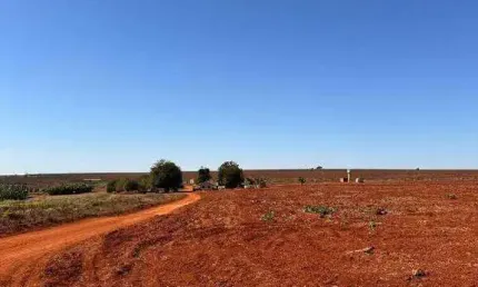 Excelente fazenda dupla aptidão com 297 hectares e muito bem estruturada à venda em monte carmelo - mg