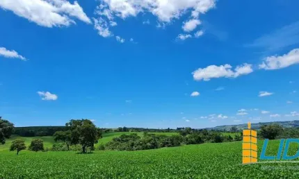 Excelente fazenda dupla aptidão com 790 hectares e com ótimas estruturas à venda em patos de minas/mg