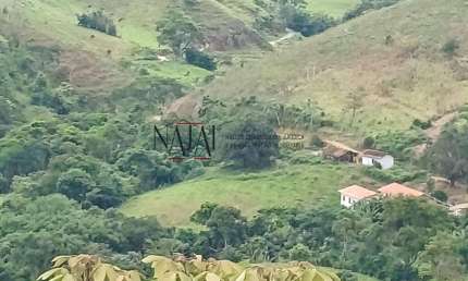 Vendo excelente Sítio com 54,9 hectares-Santa Barbára-Sapucaia-Rj.