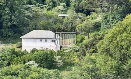 Chácara / sítio com 4 quartos à venda na Estrada Santa Luiza, SN, Linha Muller, Carlos Barbosa por R$ 792.000