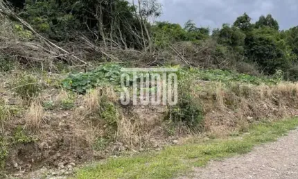 Terreno à venda na linha 12, carlos barbosa  por r$ 165.000