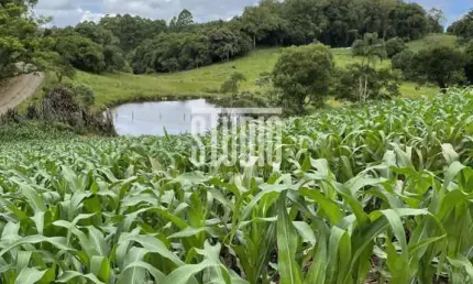 Terreno à venda na linha 12, carlos barbosa  por r$ 300.000
