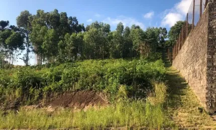 Terreno à venda em Chácaras, Garibaldi  por R$ 400.000