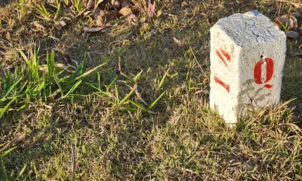 Terreno em condomínio fechado à venda na Rua Cambuí, Alphaville, Juiz de Fora