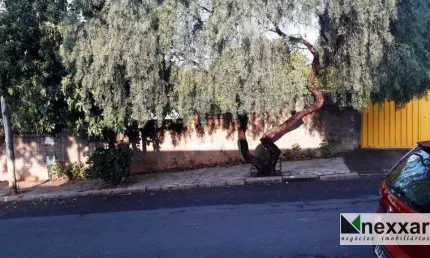 Terreno à venda na Rua Messias Fidêncio Filho, Jardim São Luiz, Valinhos
