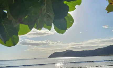 Casa com 4 quartos à venda na Rua Videira, 1, Barra do Una, São Sebastião