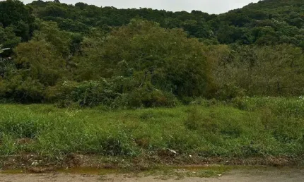 Terreno à venda na Pedra Gema, 654, Mariscal, Bombinhas