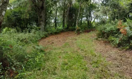 Terreno à venda na arroio grande, 1200, morro da borússia, osório, 500 m2 por r$ 106.000