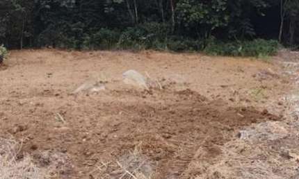 Terreno à venda na do Gerivá, 20, Ingleses do Rio Vermelho, Florianópolis, 490 m2 por R$ 245.000