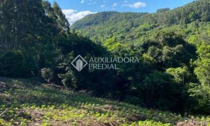 Terreno à venda na Estrada Da Areia, 3330, Areia, Rolante, 4518 m2 por R$ 52.000