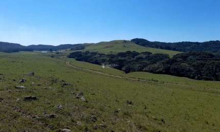 Fazenda à venda na Getúlio Vargas, 937, Centro, Cambará do Sul, 1760000 m2 por R$ 5.200.000