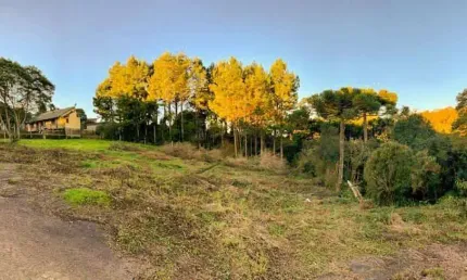 Terreno à venda na Xavantes, 001, São Bernardo, São Francisco de Paula, 840 m2 por R$ 406.000