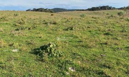 Terreno comercial à venda na Getúlio Vargas, 937, 1000, Centro, Cambará do Sul, 3180000 m2 por R$ 7.950.000