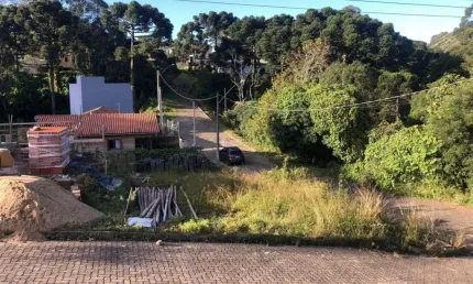 Terreno à venda na Das Camélias, 100010, Centro, São Francisco de Paula, 250 m2 por R$ 150.000