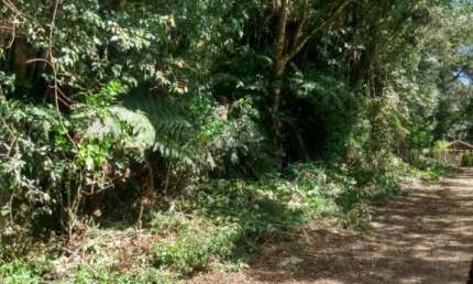 Terreno à venda na São Gotardo, 1006, Centro, São Francisco de Paula, 4560 m2 por R$ 1.280.000