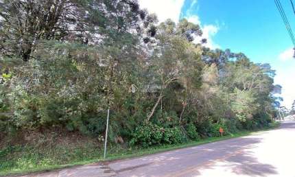 Terreno à venda na Alziro Torres Filho, 1001, Centro, São Francisco de Paula, 3736 m2 por R$ 1.800.000