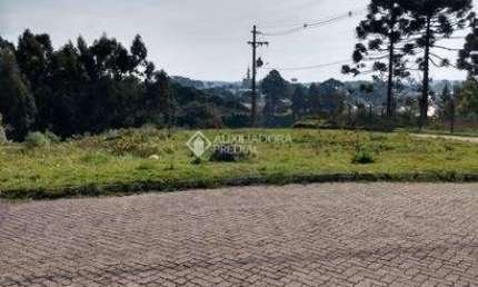 Terreno à venda na Conselho Comunitário, 200, Centro, São Francisco de Paula, 1054 m2 por R$ 373.000