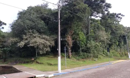 Terreno à venda na Alziro Torres Filho, 0002, Centro, São Francisco de Paula, 1719 m2 por R$ 480.000
