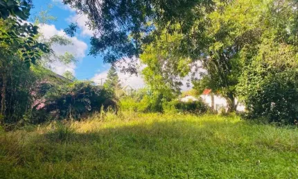 Terreno à venda na Santos Dumont, 825, Centro, São Francisco de Paula, 774 m2 por R$ 800.000