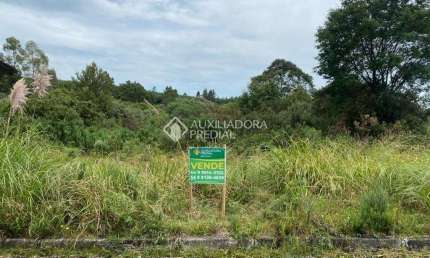 Terreno à venda na Giselda Pinto Dos Santos, 7, Cipó, São Francisco de Paula, 360 m2 por R$ 140.000