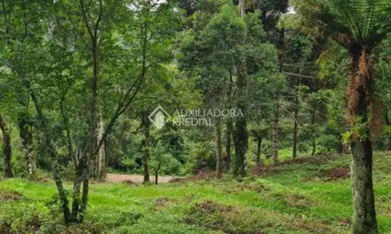 Terreno à venda na Do Pessegueiro, 1, Centro, São Francisco de Paula, 3400 m2 por R$ 180.000