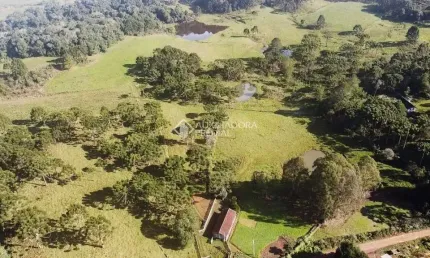 Fazenda à venda na São Francisco, 1, Centro, São Francisco de Paula, 370000 m2 por R$ 1.750.000