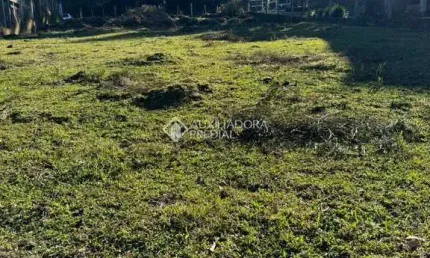 Terreno à venda na Estrada Serra Velha, 01, Centro, São Francisco de Paula, 770 m2 por R$ 250.000