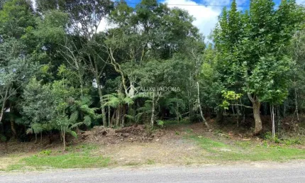 Terreno à venda na Dos Alpes, 6, Centro, São Francisco de Paula, 479 m2 por R$ 150.000