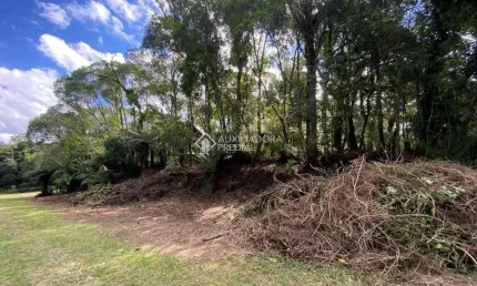 Terreno à venda na dos alpes, 5, centro, são francisco de paula, 630 m2 por r$ 175.000