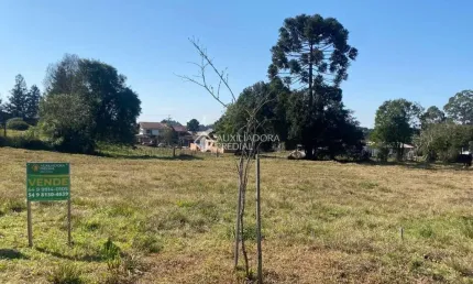 Terreno à venda na Benjamin Constant, 2, Centro, São Francisco de Paula, 376 m2 por R$ 212.000