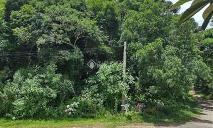 Terreno à venda na Dos Alpes, 87, São Bernardo, São Francisco de Paula, 1040 m2 por R$ 190.000