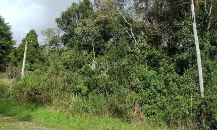 Terreno à venda na Mata Atlântica, 60, Alpes, São Francisco de Paula, 600 m2 por R$ 98.000