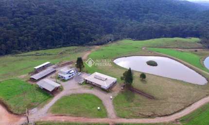 Fazenda à venda na Rs020, 1207, Centro, Cambará do Sul, 161000 m2 por R$ 4.830.000