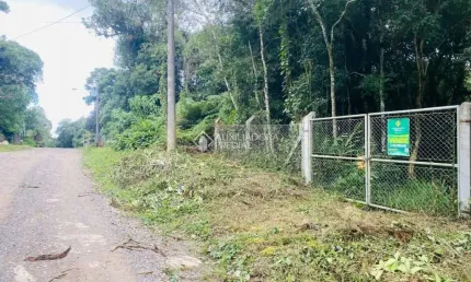 Terreno à venda na São Gotardo, 45, São Bernardo, São Francisco de Paula, 967 m2 por R$ 240.000