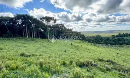 Terreno à venda na Lote 05, 100, Barragem do Salto, São Francisco de Paula, 50000 m2 por R$ 480.000