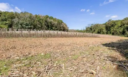 Chácara / sítio com 1 quarto à venda na Rua Sílvio Dallagrana, 1, Ferraria, Campo Largo