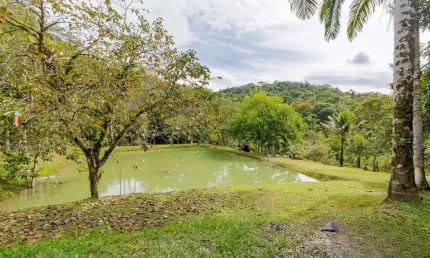 Chácara / sítio com 5 quartos à venda na Vila Bom Jardim, 611, Rio Sagrado, Morretes