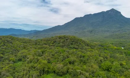 Chácara / sítio com 6 quartos à venda na Rodovia Mário Marcondes Lobo, Km 8, Porto de Cima, Morretes