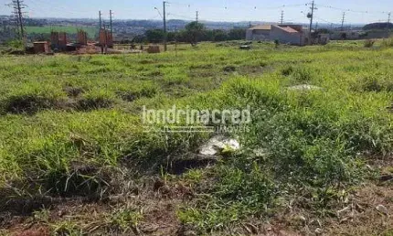 Terreno à venda 300m², jardim pioneiros, londrina - pr