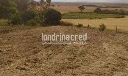 Terreno à venda no Warta, Londrina 