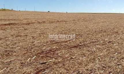 Chácara à venda 3000M², Centro, Cornélio Procópio - PR
