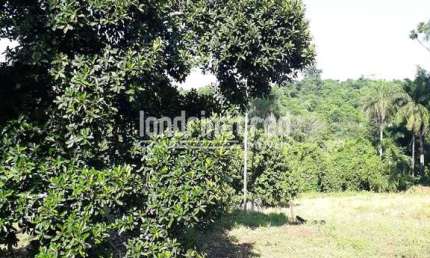 Terreno à venda 5000M², Parque Jamaica, Londrina - PR