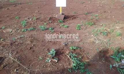 Terreno à venda no Jardim Parana, Cambé 
