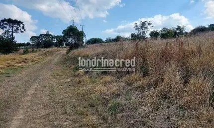Terreno à venda no Centro, Ponta Grossa 