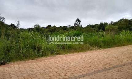 Terreno à venda Zona Rural, São José dos Pinhais - PR