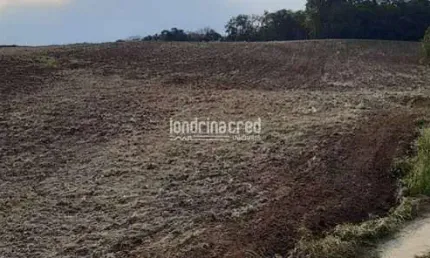 Terreno à venda na Zona Rural, Rio Azul 